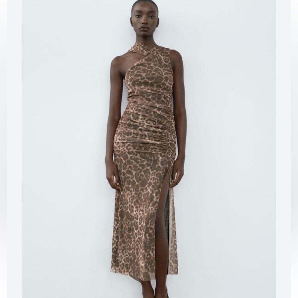 Zara Animal Print Tulle Dress